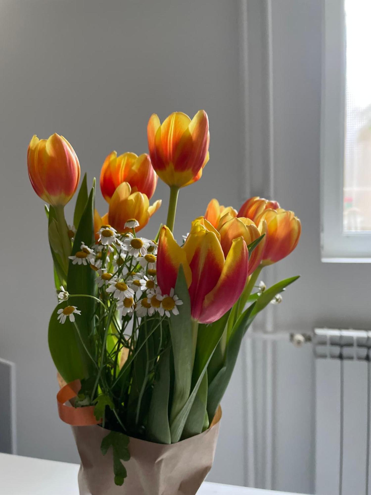 Apartmán Alexandar13 Bělehrad Exteriér fotografie