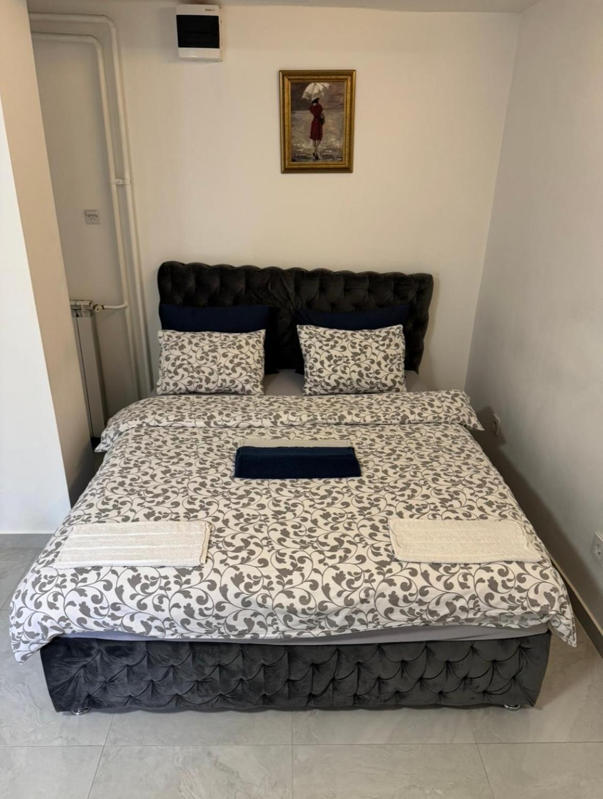 Apartmán Alexandar13 Bělehrad Exteriér fotografie
