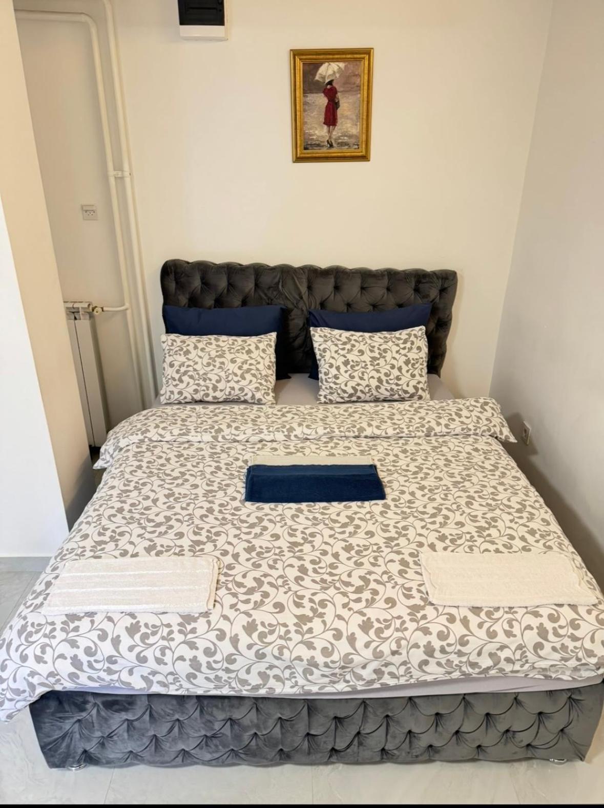 Apartmán Alexandar13 Bělehrad Exteriér fotografie